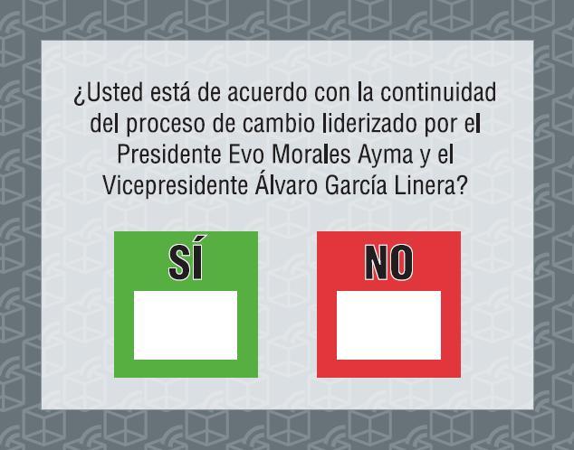 Bulletin de vote bo012008-zettel.jpg