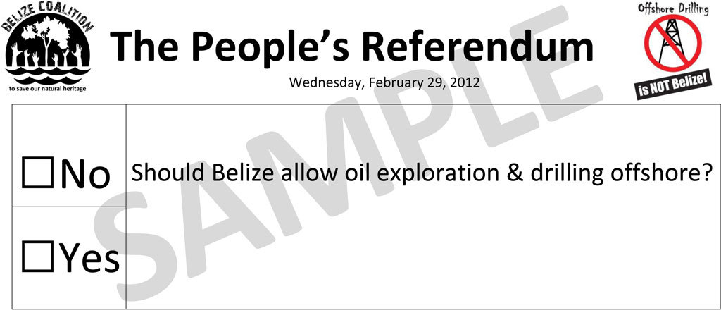 Ballot paper bz012012-zettel.jpg