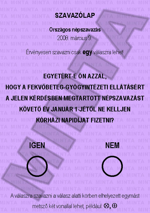 Bulletin de vote hu012008-zettel.jpg