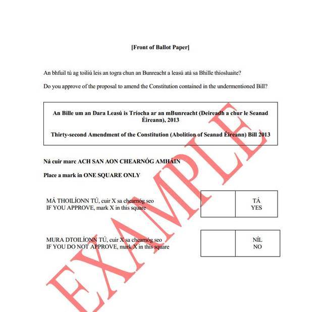 Ballot paper ie012013-zettel.jpg