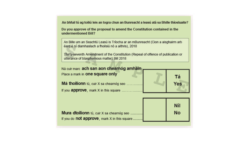 Ballot paper ie022018-zettel.jpg