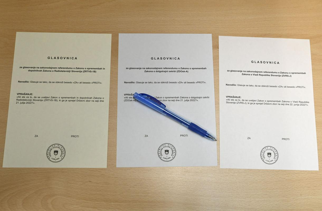Ballot paper si012022-zettel.jpeg