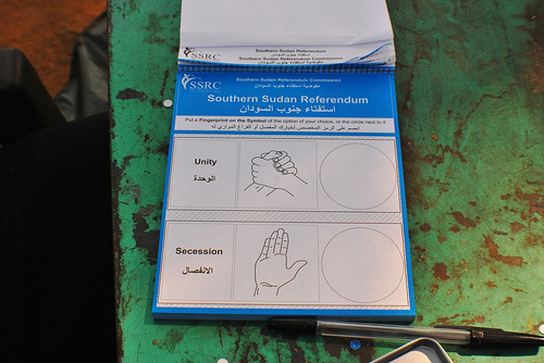 Ballot paper ss012011-zettel.jpg