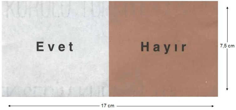 Scheda elettorale tr012010-zettel.jpg